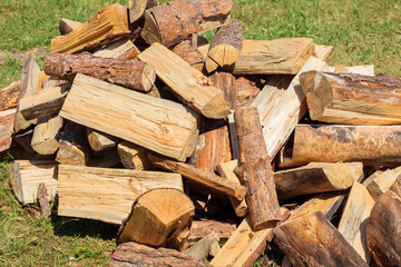 Pile of dry fire-wood