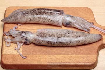 Two fresh squids over a wooden cutting board. Healthy food.