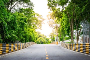 City Street Racetrack with a roadside trees using wallpaper or background   for   transportation work.