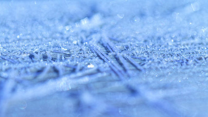 Obraz premium Morning frost - macro picture