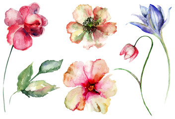 Set of wild flowers - 164612441
