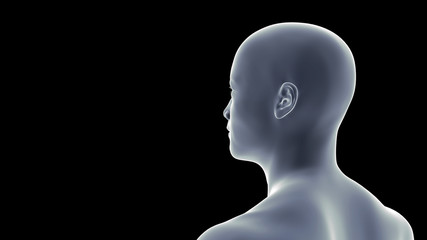 rear view of a muscular young Asian man (conceptual 3d illustration in shades of blue on a black background)