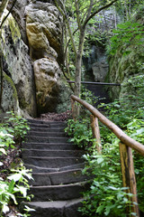 Treppe in der Sächsischen Schweiz