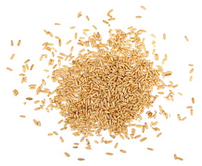 Oat grains isolated on white background