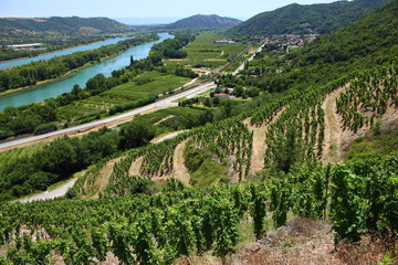 Vignobles de la Vallée du Rhône, Rhône Alpes Auvergne France