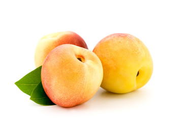 Apricots on a white background.