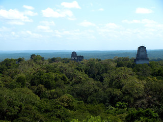 Fototapeta na wymiar Jungle Canopy, Tikal Guatemala