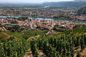 Fototapeta premium Tain-l’Hermitage Vignobles de la Vallée du Rhône Rhône Alpes Auvergne France