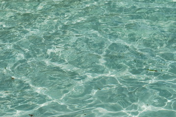 mer transparente
