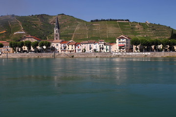Tain-l’Hermitage Vignobles de la Vallée du Rhône Rhône Alpes Auvergne France