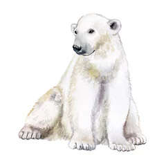 Foto op Canvas Polar bear. Watercolor illustration isolated on white background. Watercolor illustration, sketch animal. Cute wild bear. © Yuliia