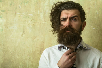 hipster man with long beard in shirt and tie