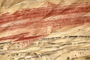 Surrealistic landscape of the slopes of Painted Hills in the John Day Fossil Beds National Monument. View from hiking trail.
