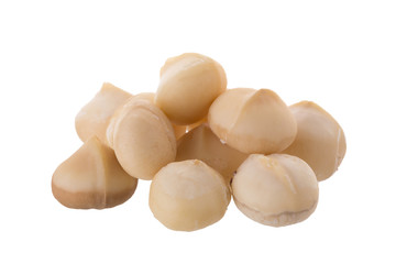 Dried macadamia nut isolated on a white background
