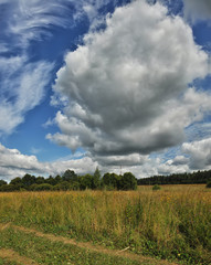 Obraz premium Summer landscape
