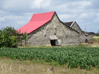 Tabakland Kuba