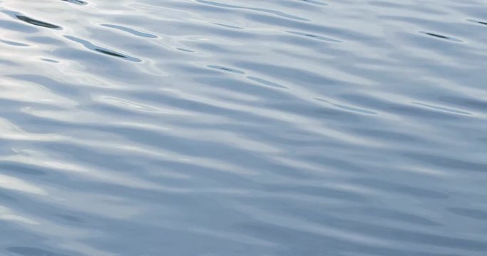 Sea surface