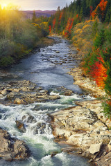 Autumn creek woods with colorfull trees foliage and rocks in forest mountain