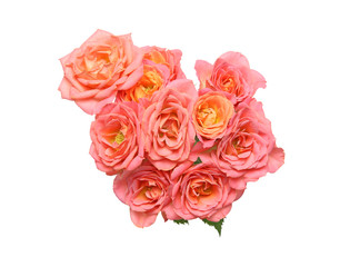 薔薇の花束