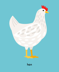 Hen farm domestic bird