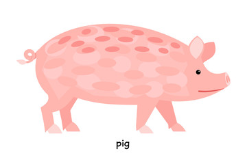 Pig farm animal