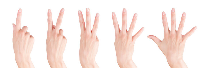 Woman hands set showing numbers from one to five. Isolated with clipping path
