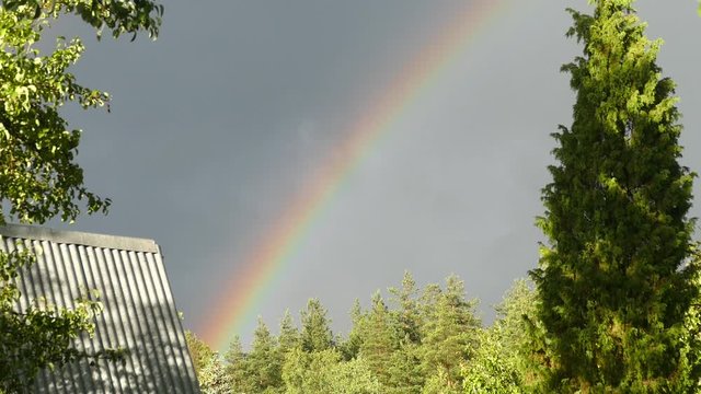 Rainbow in the sky, the roof of the house and the tree