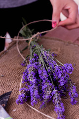 Obraz na płótnie Canvas Tethering lavender