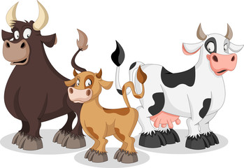 Cartoon cow, calf and bull. Cow family.
