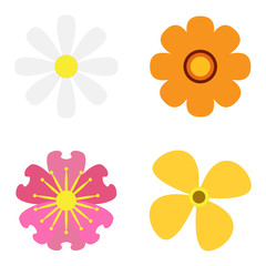 Set of flowers on a white background, flat style, Vector illustration