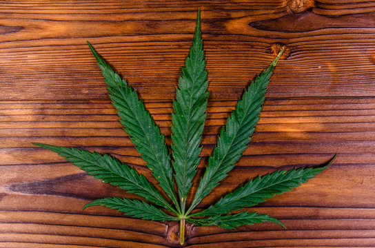 Leaf of the cannabis plant on wooden table. Top view