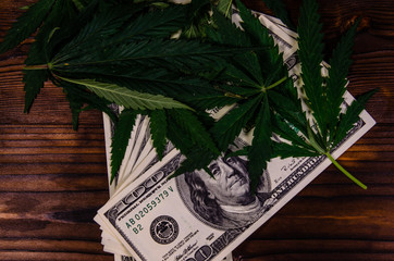 Leaves of the cannabis plant and one hundred dollar bills on wooden table. Top view