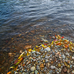 rocky shore of the river