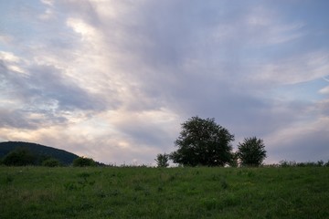 Fototapeta na wymiar Colorful sunset on meadow. Slovakia