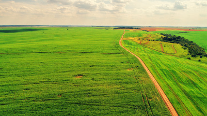 drone with a camera on a green field.