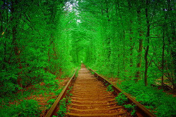 a railway in the spring forest tunnel of love