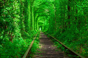 a railway in the spring forest tunnel of love - obrazy, fototapety, plakaty