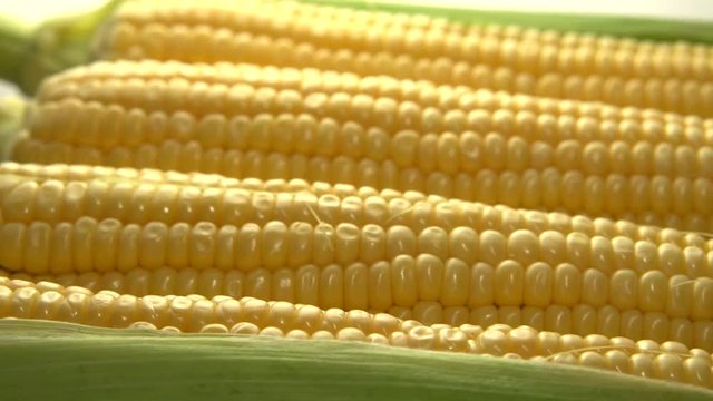 Corn. Corn cobs rotate 360.  Looping is possible. High speed camera shot. Full HD 1080p.