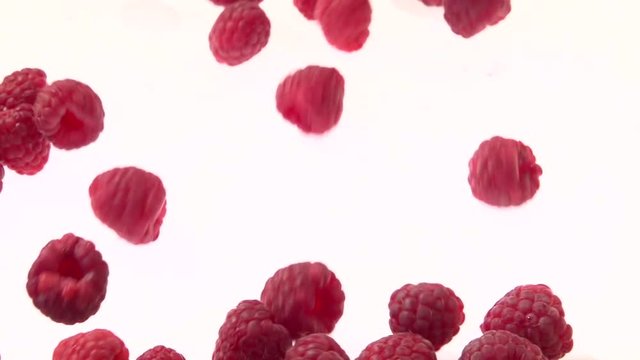 Raspberry. Raspberries falls and rolls on a white background.  Slow motion 240 fps. Slowmo. High speed camera shot. Full HD 1080p.