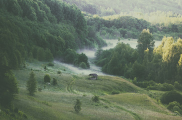The mist spreads over the ground in the forest.
