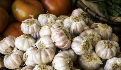 Fresh raw garlic