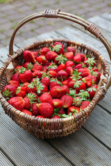 basket with strawberries in garden