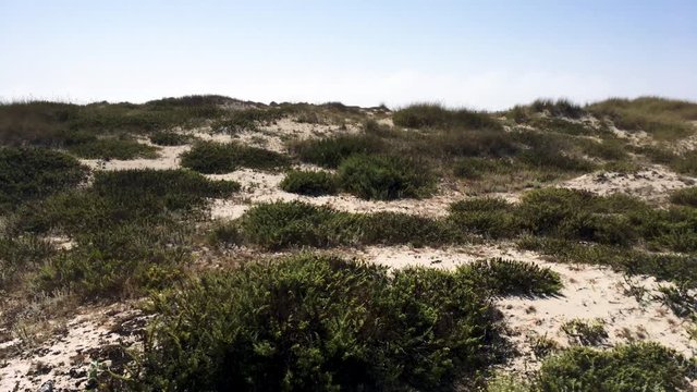 Flight over the sand dunes and Beach in Paramos, Espinho - Portugal