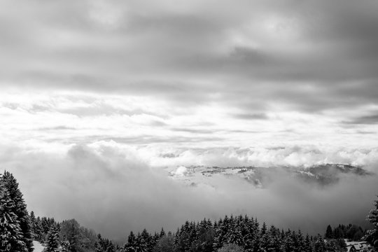 Fog