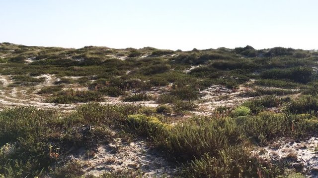 Flight over the sand dunes and Beach in Paramos, Espinho - Portugal
