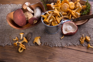 Wild fresh mushrooms on a rustic wooden table. Copyspace.