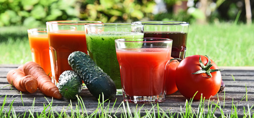 Glasses with fresh organic detox juices in the garden