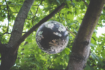 old disco ball hanging on tree 