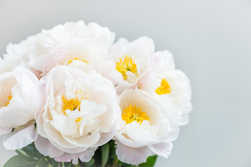 Obraz na płótnie Canvas Beautiful bouquet of white Chinese peonies