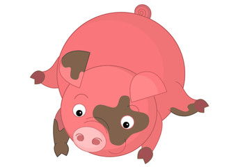 cartoon isolated young pig being happy and playing in mud / isolated vector / illustration for children